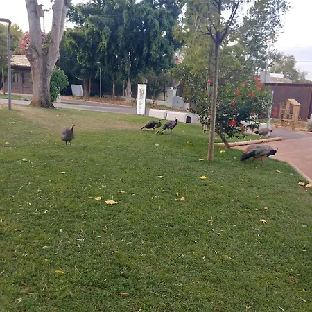 Convista * بورتيماو