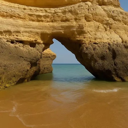 Апартаменты Convista